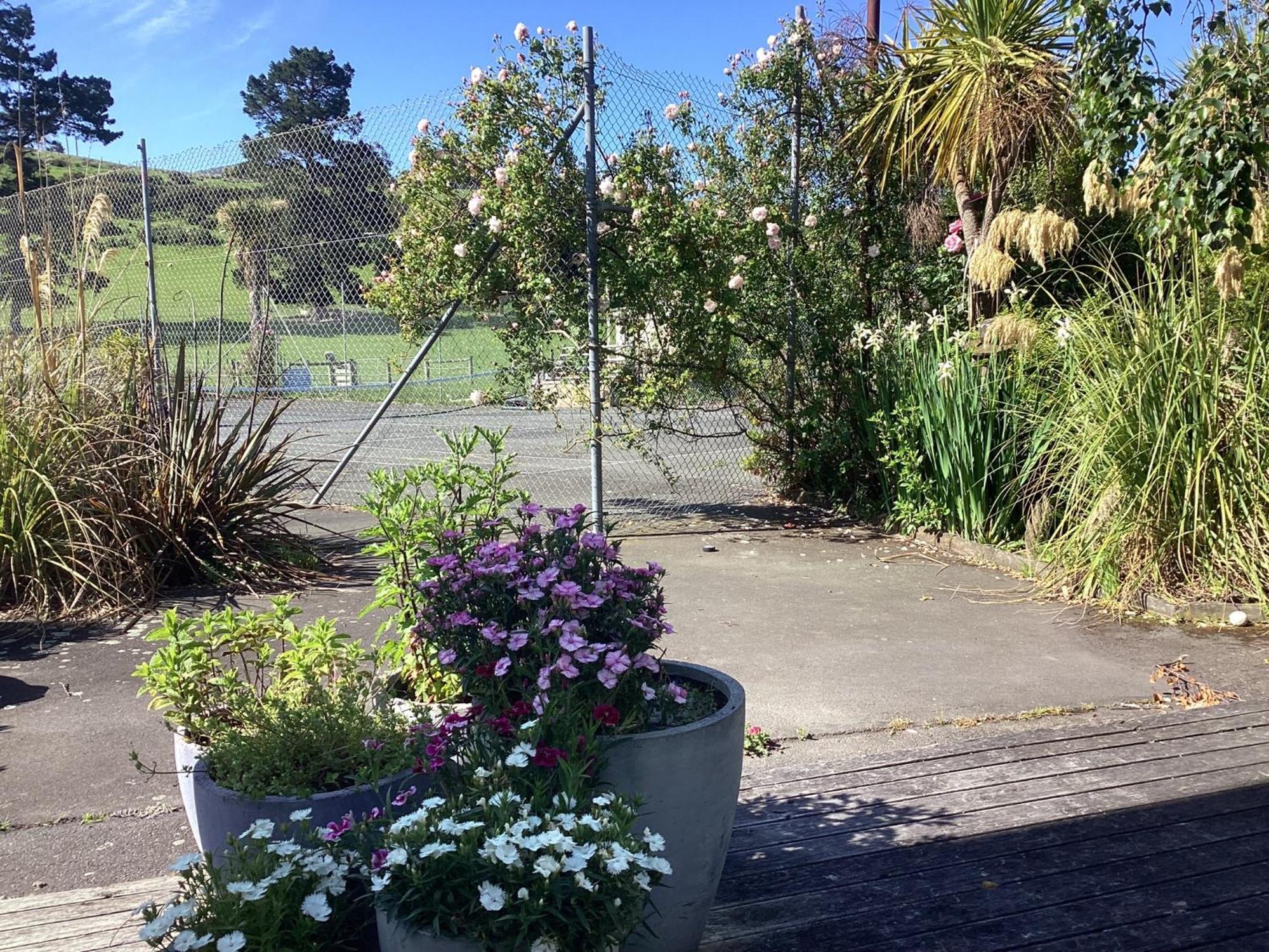 Stay In School By The Sea Dunedin Exterior foto